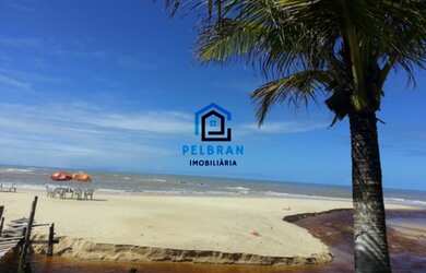 Imagem: A chácara possui 10.000m² de Área, Churrasqueira, Varanda