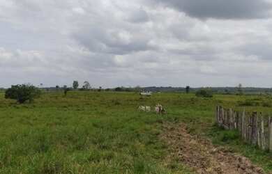 Imagem 6: Fazenda no Pará 640 alqueires com 450 em pasto por R$28.160/alqueire