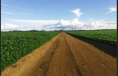 Imagem 3: 5.578 alqueires por 150 milhões porteira fechada no Estado do Pará