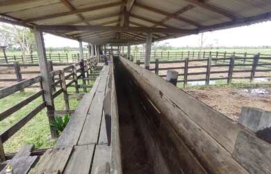 Imagem 4: 240 alqueires prontos a 120km de Belém-PA R$15 milhões aceita parcelamento