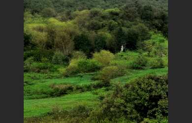 Imagem 3: Espaço para Construção em Saúde - 6.800 m² R$2.300.000