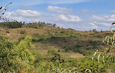 Imagem: A fazenda e está localizado em São Tiago, MG à venda por