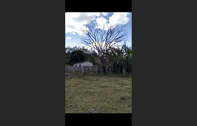 Imagem 15: Fazenda de 72 há pouco m Oliveira MG