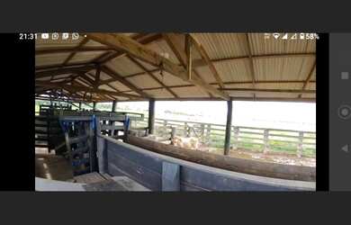 Imagem 6: Fazenda 160 alqueires pra gado na região de Paragominas-PA por R$40 mil...