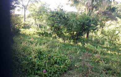 Imagem 12: Fazenda de 74 há em Cordisburgo MG