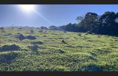 Imagem 11: Fazenda de 71 há em São Tiago MG