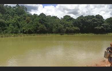 Imagem 3: Fazenda de 14 há em São Tiago MG