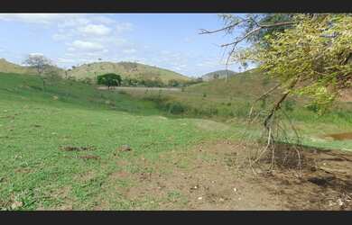 Imagem 7: Fazenda 120 hectares Vale do Mucurí Santa Helena de Minas Zap 33 998000931