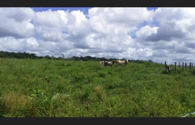 Imagem 5: R$500 mil fazenda 31 alqueires passando Paragominas toda aberta sentido...