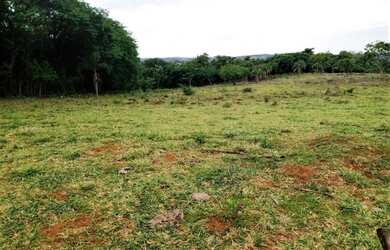 Imagem 4: Sítio no Município de Apucarana/PR