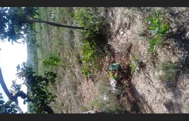 Imagem 1: Alugo terreno. Direto com o proprietárioe3.000m² de Área