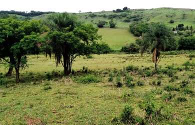 Imagem 7: Sítio no Município de Apucarana/PR