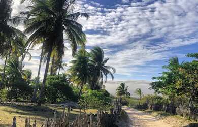 Imagem 10: Terreno exclusivo de frente para o mar Tatajuba