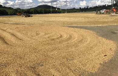 Imagem 11: Fazenda de 3.231 há Sul de Minas MG