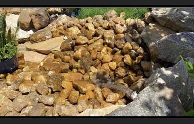 Imagem 14: Fazenda Dumont a Venda. 