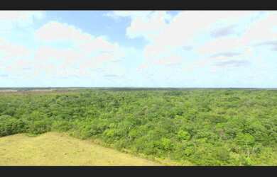 Imagem 9: 400 hectares com pasto pra gado no Pará por R$2 milhões fica passando...