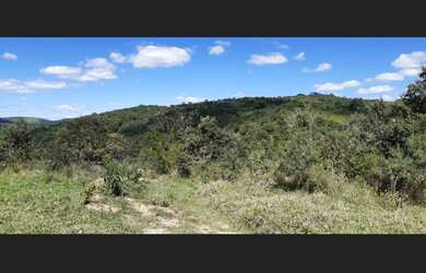 Imagem 3: Fazenda de 110 há em São Tiago