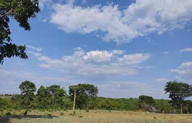 Imagem: A fazenda está localizado em Itapirapuã, GO à venda por R$3.720.000