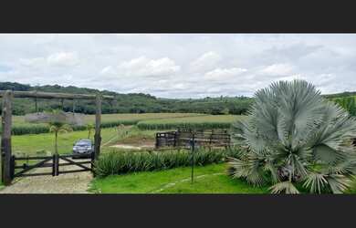 Imagem 2: Fazenda de 420 há em Oliveira