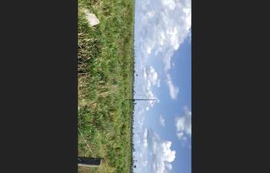 Imagem 3: Fazenda Tailandia 273ha. Direto com o proprietário, 2.730.000m² de Área,...