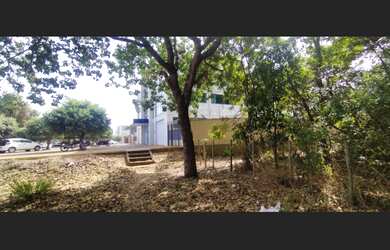 Imagem 1: Lote na Teotônio segurado