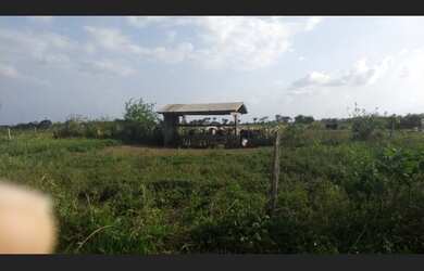 Imagem 7: Fazenda pronta em pasto com 118 alqueires no Pará por R$3,5 milhões