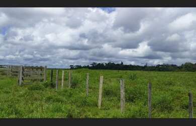 Imagem 7: R$500 mil fazenda 31 alqueires passando Paragominas toda aberta sentido...