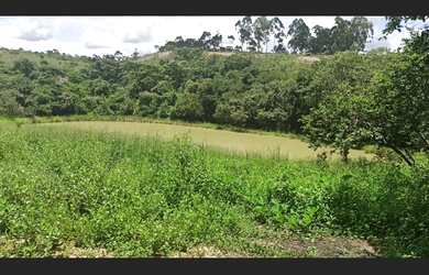 Imagem 12: Fazenda de 14 há em São Tiago MG