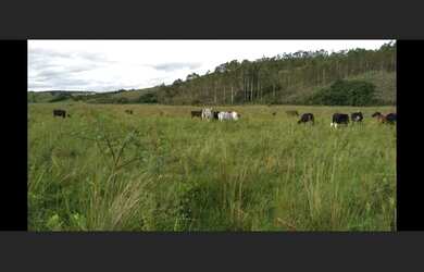 Imagem 6: Fazenda de 72 há em Oliveira MG