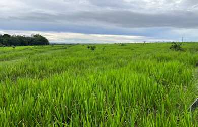 Imagem: A fazenda está localizado em Itacajá, TO à venda por R$11.900.000