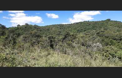 Imagem 9: Fazenda de 110 há em São Tiago