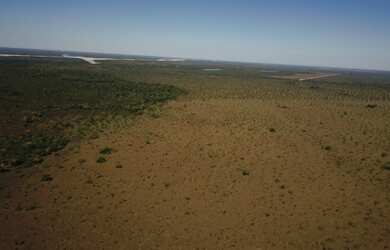 Imagem: A fazenda está localizado em Araguacema, TO à venda por R$1
