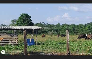 Imagem: A fazenda possui 250000-0m² de Área e está localizado em