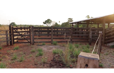 Imagem: A fazenda e está localizado em Wanderlândia, TO à venda por