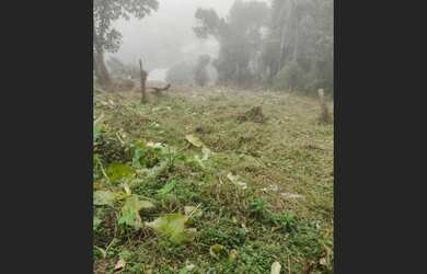 Imagem: O terreno possui 264m² de Área e está localizado em Ribeirão