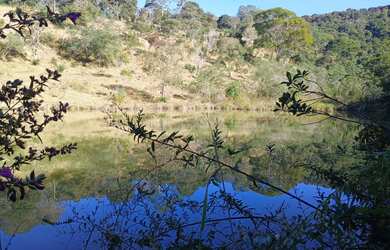 Imagem 8: Fazenda de 49 há em Itatiaiuçu