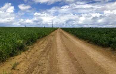 Imagem 2: 4.510 hectares dupla aptidão no Pará solo argiloso 40 de argila