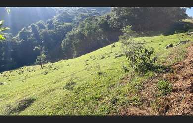 Imagem 10: Fazenda de 71 há em São Tiago MG