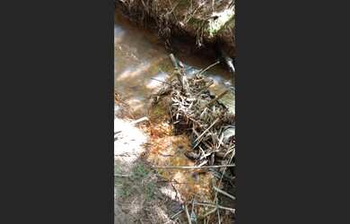 Imagem 10: Fazenda de 43 há em Rio Manso MG