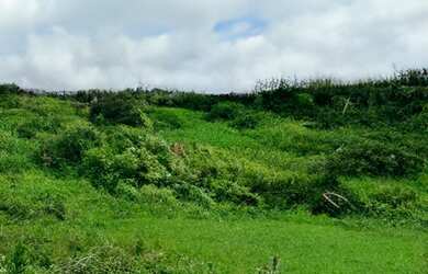 Imagem: O terreno possui 10.600m² de Área e está localizado em Senhor