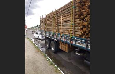 Imagem 3: VENDO ESTACAS SABIÁ. 