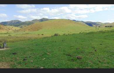 Imagem 11: Fazenda 120 hectares Vale do Mucurí Santa Helena de Minas Zap 33 998000931