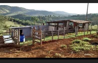 Imagem 4: Fazenda Dumont a Venda. 