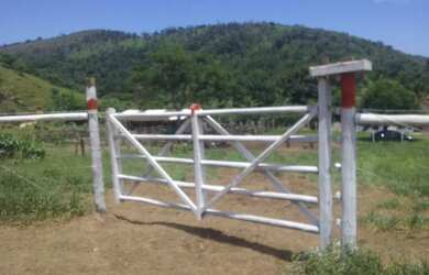 Imagem 13: Vendo Fazenda 215 hectares casas 12kms Palmópolis MG com Rio, 33 998000931,...