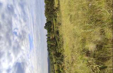 Imagem 1: Fazenda de 60 há São Tiago MG