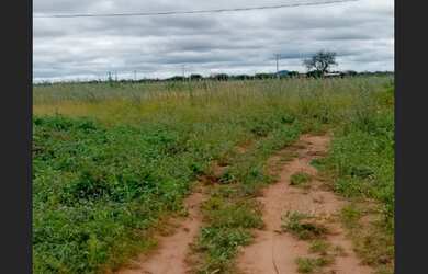 Imagem: O terreno possui 8.600m² de Área e está localizado em Senhor