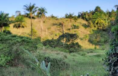 Imagem: A fazenda possui 3 Dormitórios, 780.000m² de Área e está