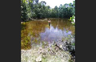 Imagem 2: Excelente Fazenda em Praia Do Forte