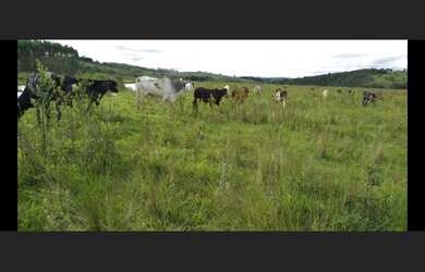 Imagem 9: Fazenda de 72 há em Oliveira MG