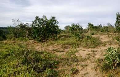 Imagem 2: Fazenda de 104 há em Itatiaiuçu MG